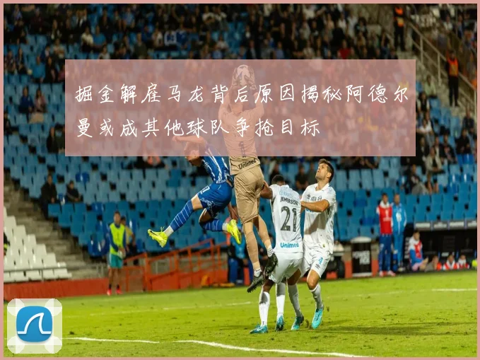 掘金解雇马龙背后原因揭秘阿德尔曼或成其他球队争抢目标